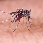 Zika virus Vaccine
