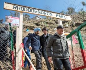 Arunachal Pradesh Chief Minister Lays Foundation Stone For Rhododendron Park