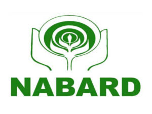 NABARD Area development plan for Punjab Launched Worth Rs 1,918 cr