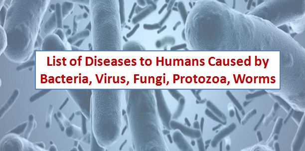 List of Diseases caused by Bacteria, Virus, Fungi, Protozoa, Worms to Humans