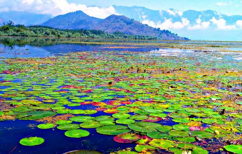 Fresh Water Lakes in India - Wular Lake